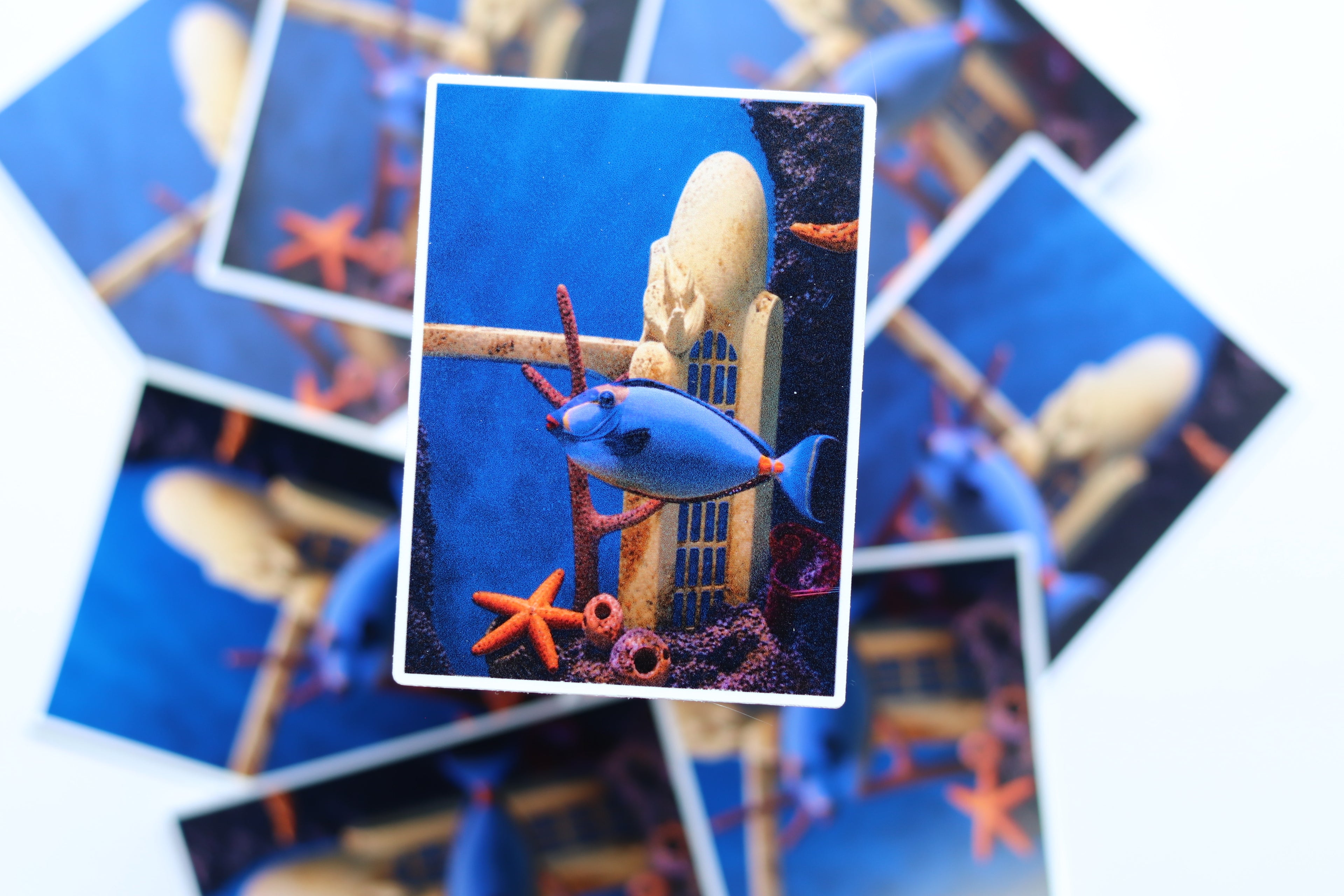 Little Blue Fish