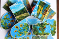 Touch Grass Collection (4 Stickers)