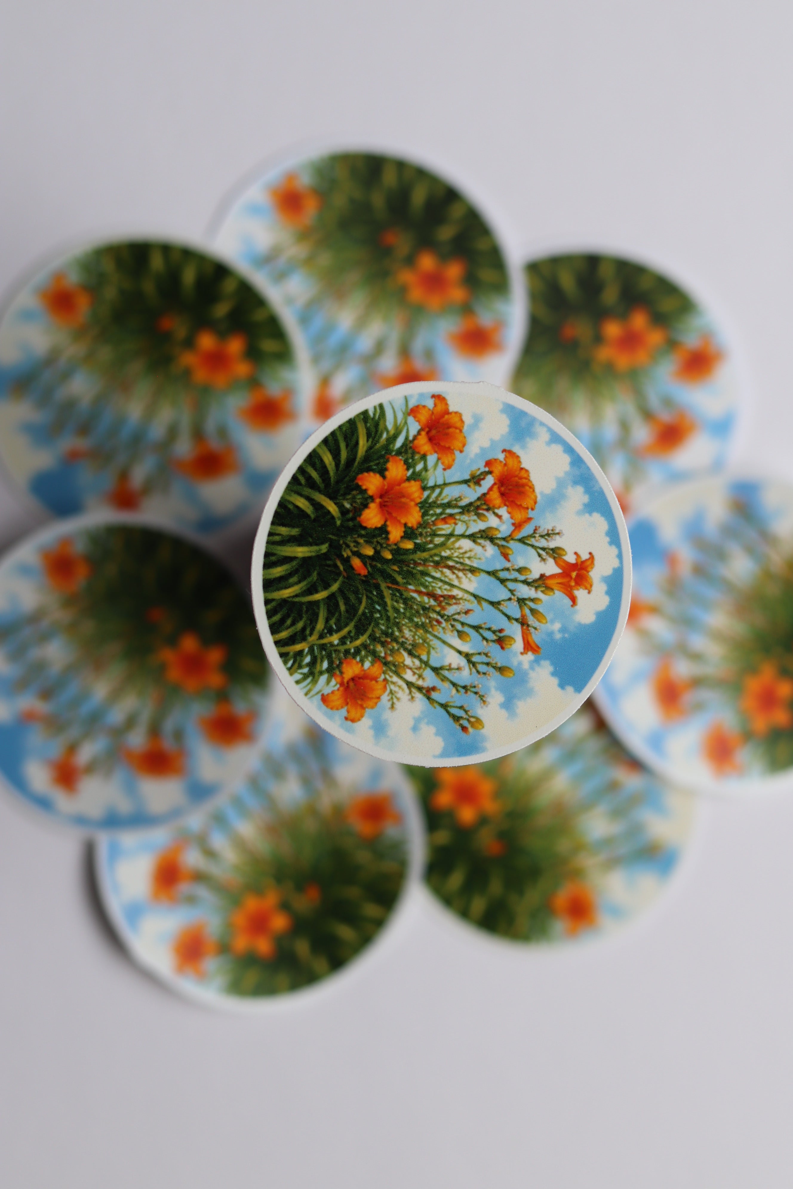 Orange blossom